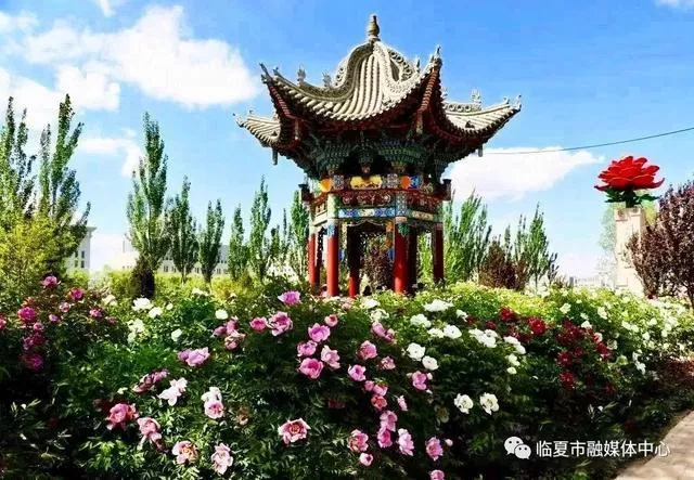 柳园旅游景点介绍图片