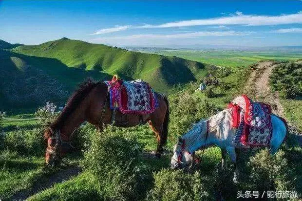 扁都口旅游景点门票图片