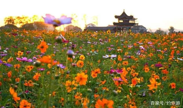 蓝陵桃花源图片