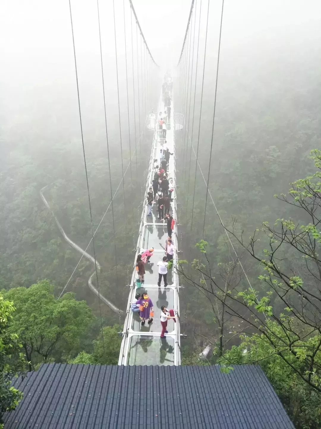 临武滴水岩导游图图片