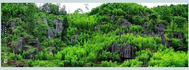 僰王山风景区门票图片