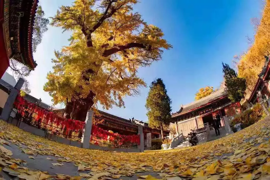 高登山普照寺图片