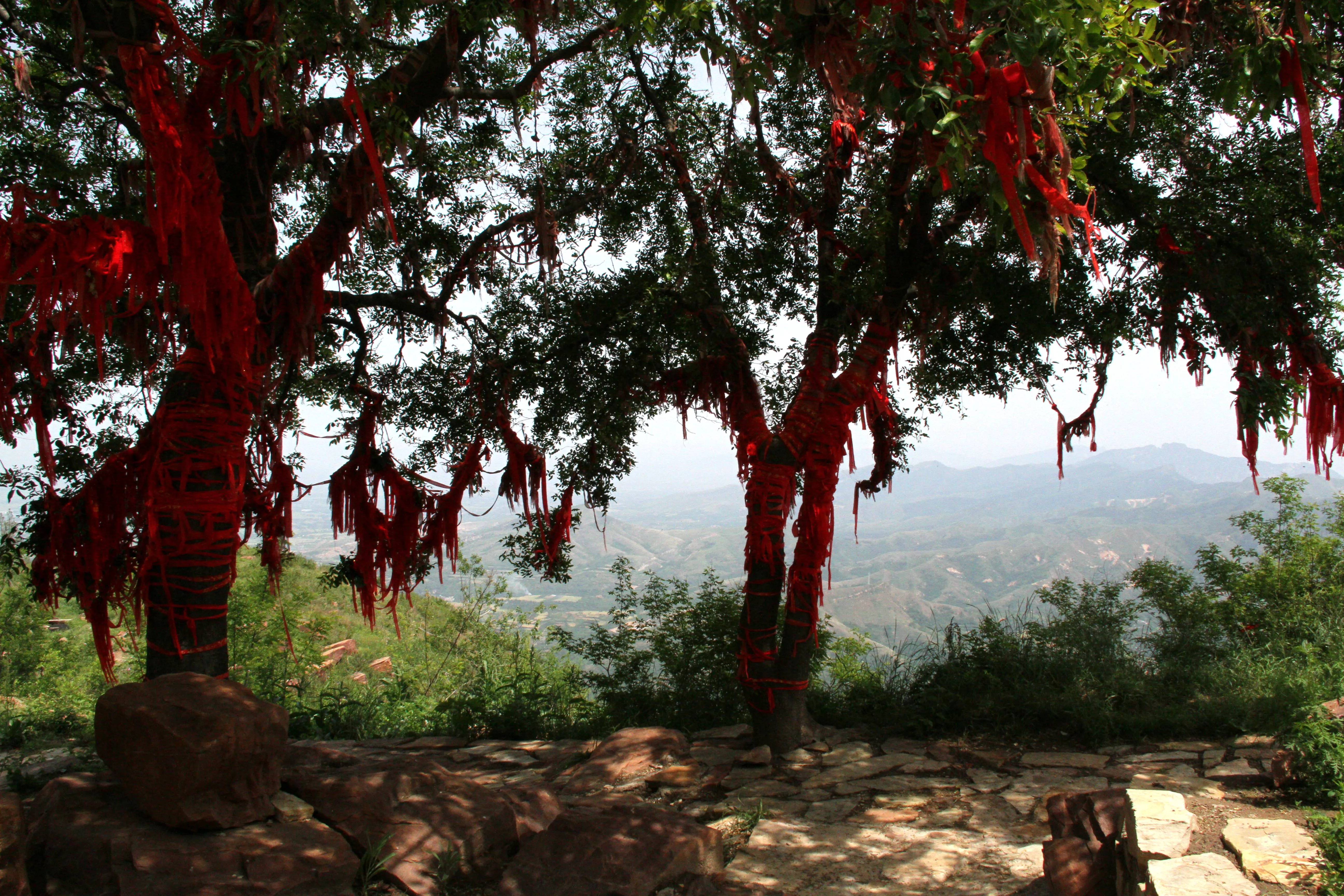 万安山祖师庙图片