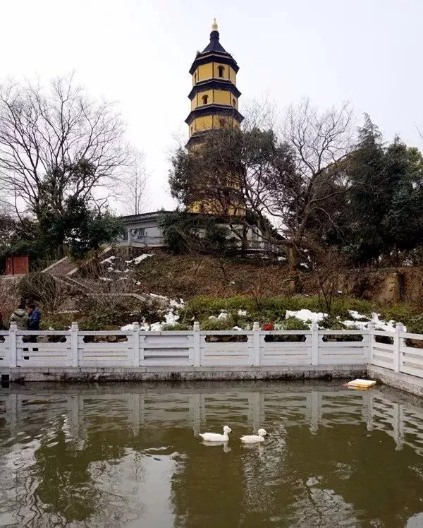 麻城白鸭山传说图片