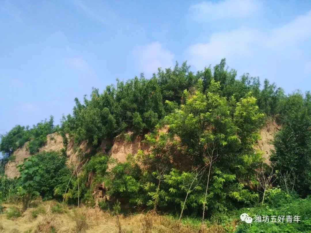 骑行探古:寒亭宋狄青墓 裴行俭墓