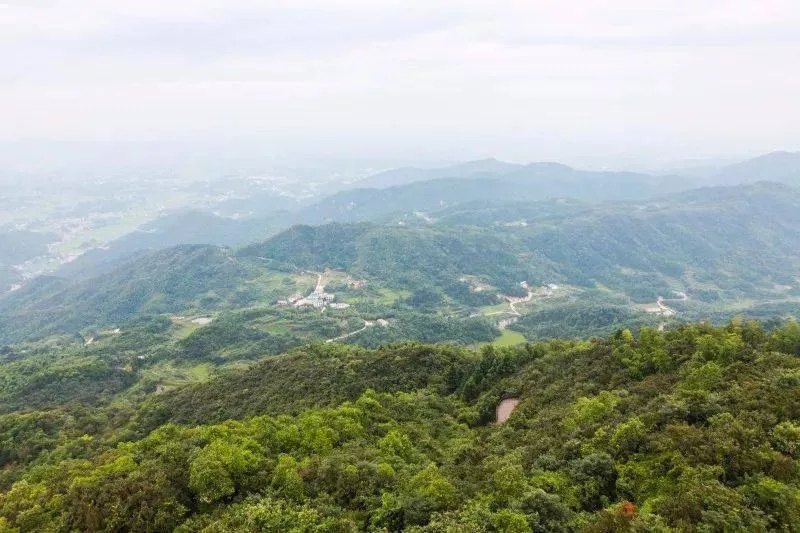 岚峰森林公园图片