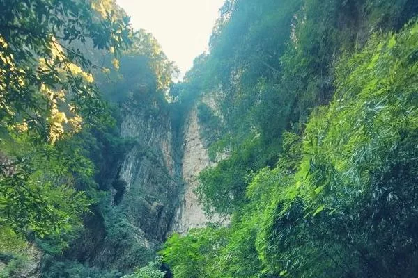 重庆神龙峡风景区在哪里