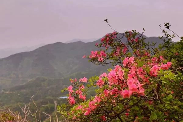 湖北武汉黄陂云雾山<a href='/fengjing/' target=_blank>风景</a>区在哪里?木兰云雾山在哪个地方?