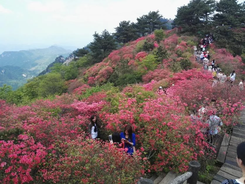 龟峰山风景区好玩吗 龟峰山旅游攻略