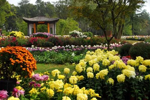 武汉植物园好玩吗 武汉植物园有什么好玩的