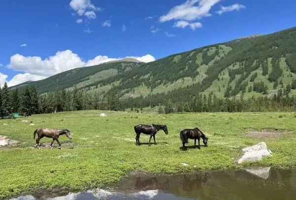 沉香如屑在哪里拍摄-取景地介绍