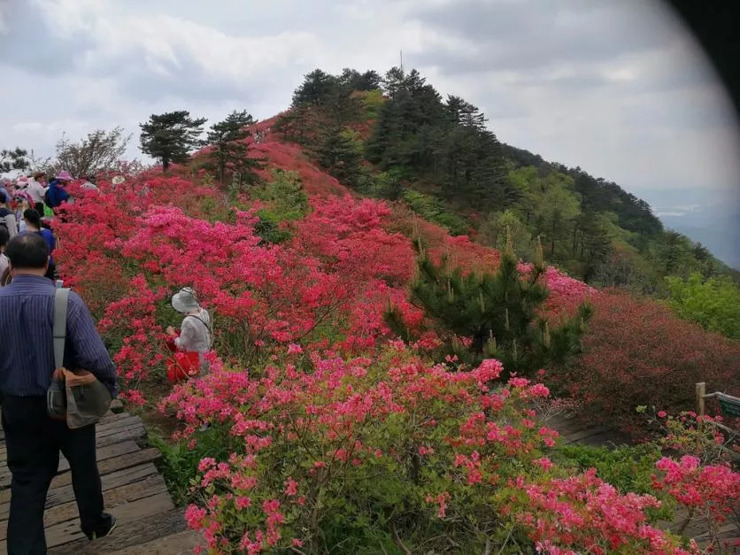 龟峰山
景区好玩吗 龟峰山旅游攻略