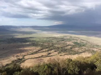 坦桑尼亚东非大草原safari旅游攻略