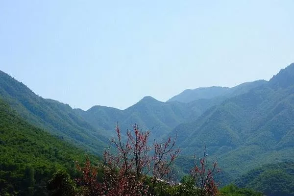 龙王山风景区在哪里 龙王山爬山攻略