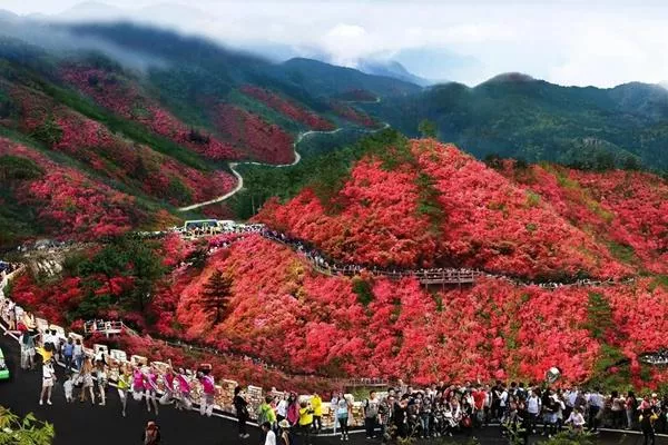 湖北武汉黄陂云雾山风景区在哪里?木兰云雾山在哪个地方?