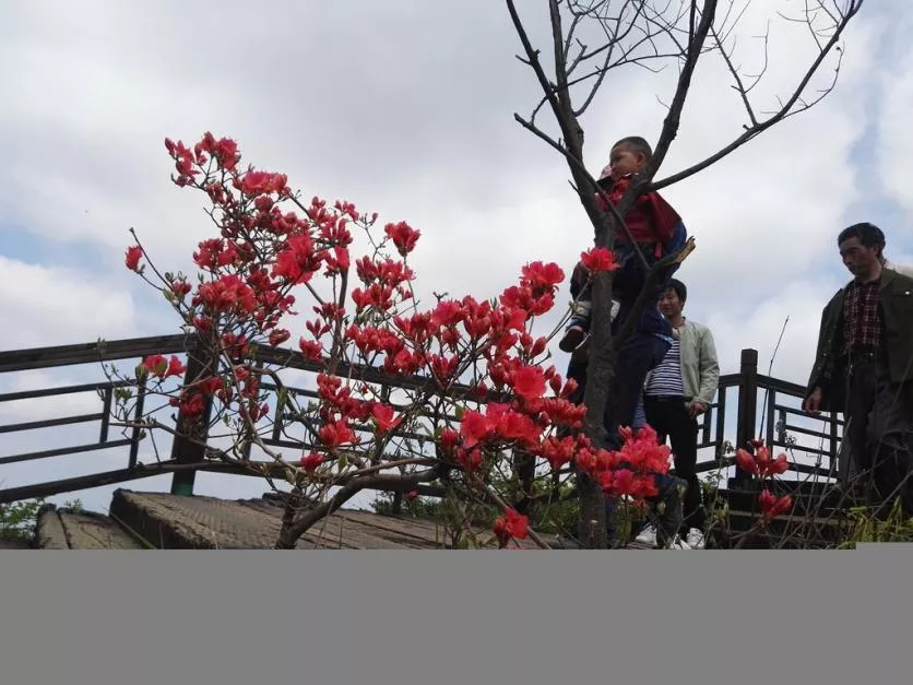 龟峰山风景区好玩吗 龟峰山旅游攻略