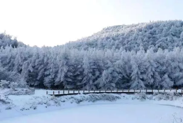 2022重庆茅草坝滑雪场攻略 门票价格和地址交通指南