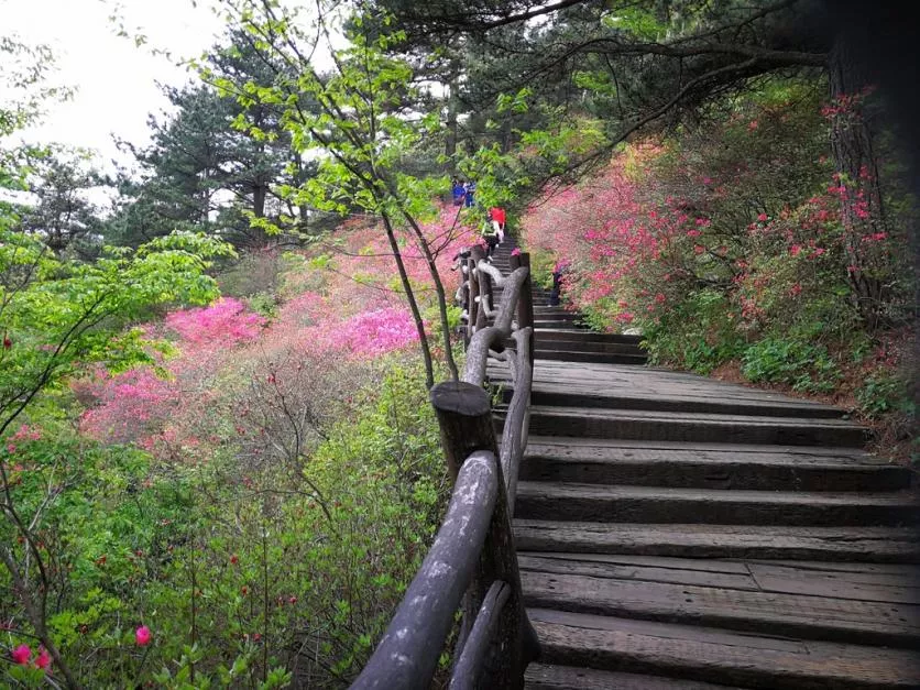 龟峰山风景区好玩吗 龟峰山旅游攻略