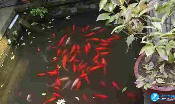 广德寺地址在哪 广德寺游记攻略