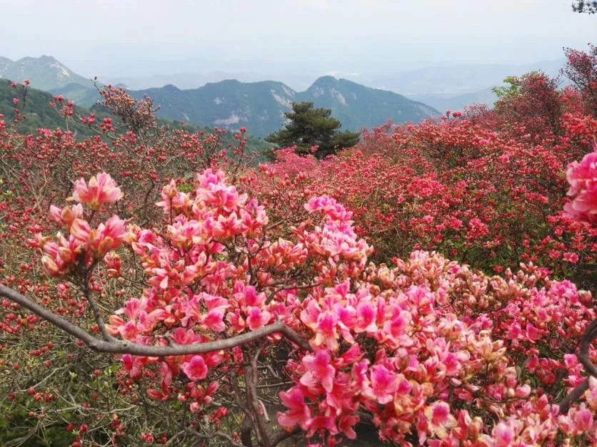 龟峰山风景区好玩吗 龟峰山旅游攻略