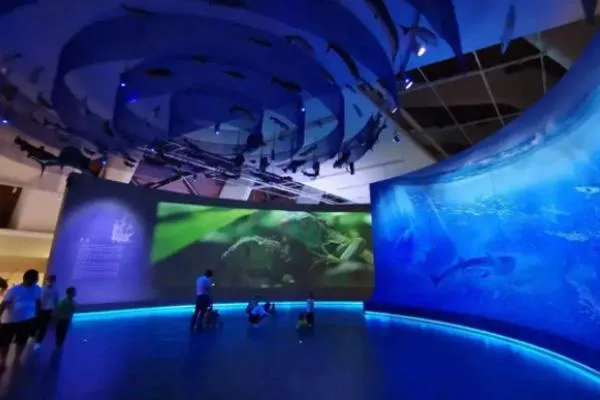 2022天津国家海洋博物馆直通车价格