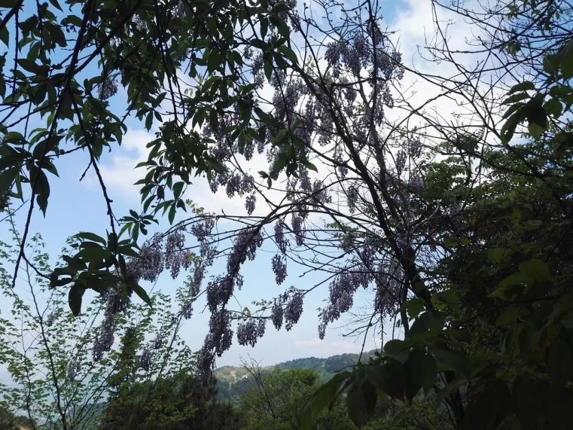 龟峰山风景区好玩吗 龟峰山旅游攻略