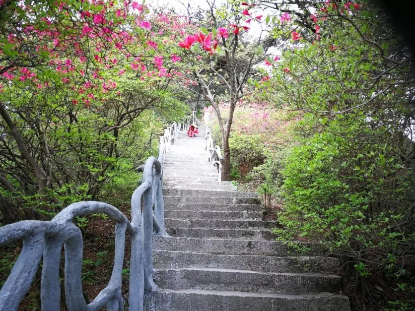 龟峰山风景区好玩吗 龟峰山旅游攻略