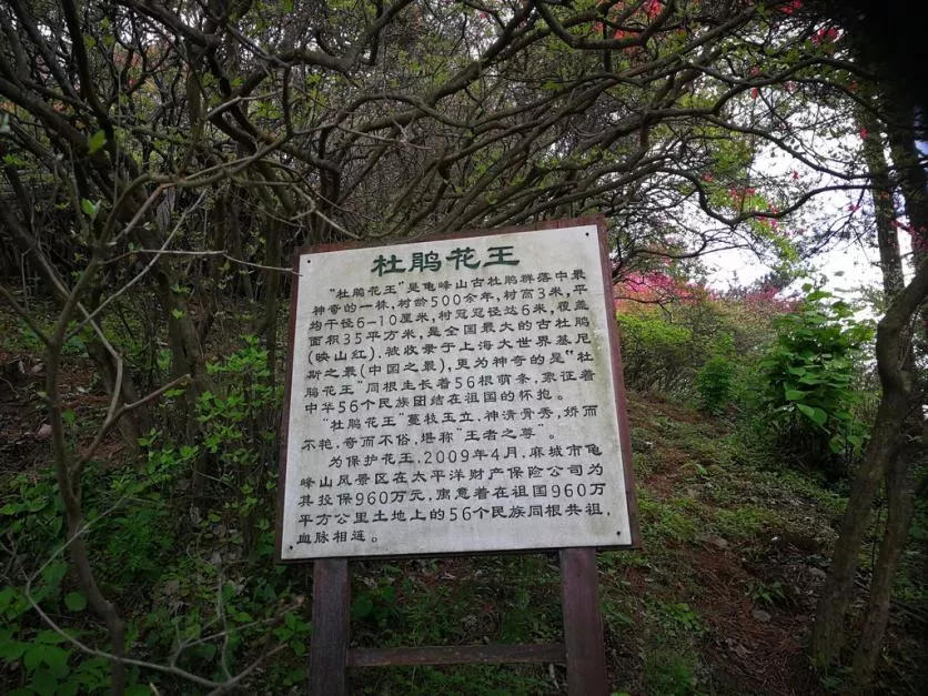 龟峰山风景区好玩吗 龟峰山旅游攻略