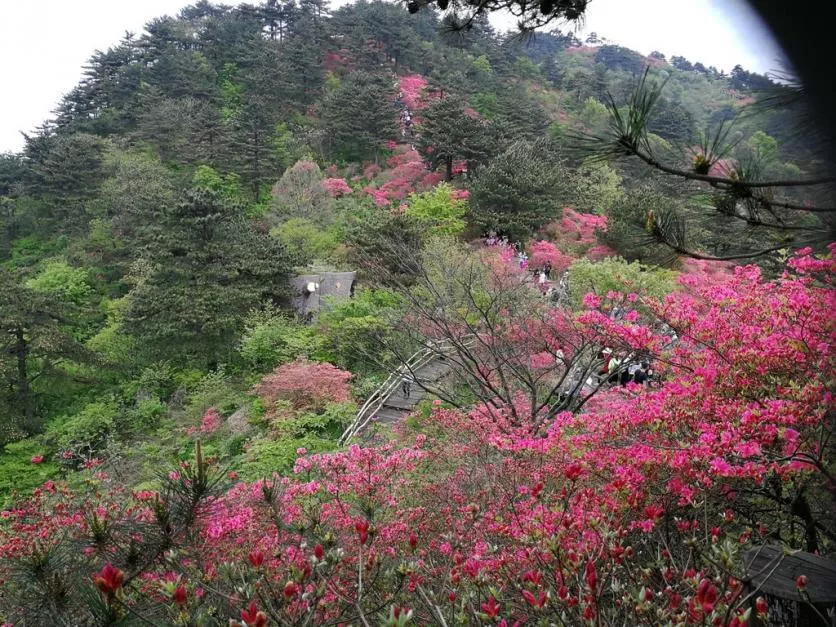 龟峰山风景区好玩吗 龟峰山旅游攻略