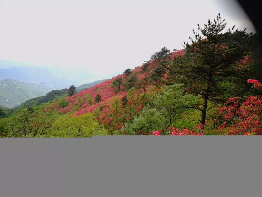 龟峰山风景区好玩吗 龟峰山旅游攻略