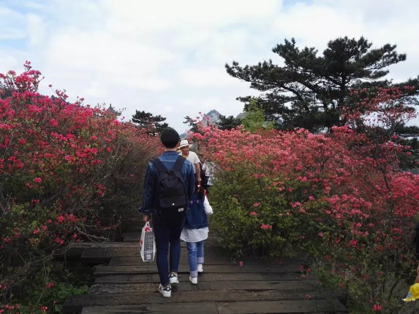 龟峰山风景区好玩吗 龟峰山旅游攻略