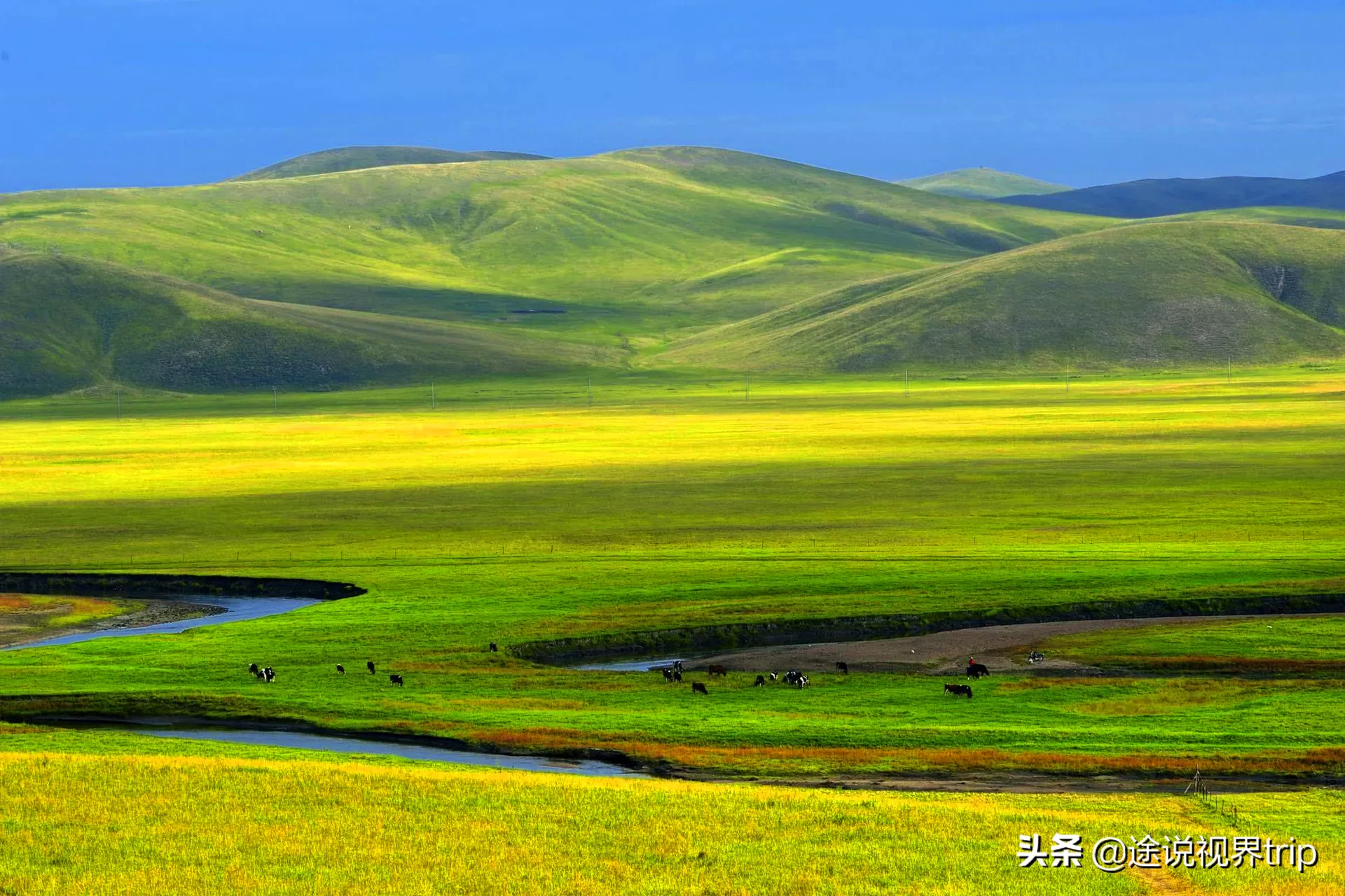 中国最美的大草原图片图片