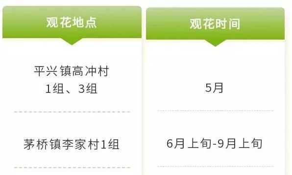 四川乐山市市中区春日赏花指南 附详细花类、赏花地址、赏花时间