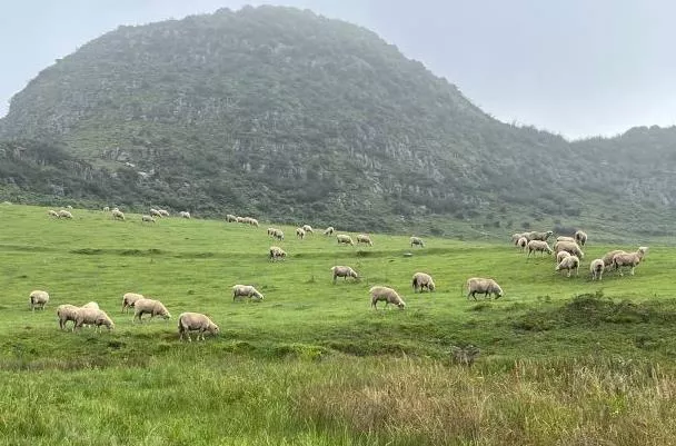 毕节旅游
点有哪些地方